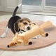 thumbnail image 2 of Stuffleless Dog Squeaky Toys Entrenamiento de mascotas y entretenimiento Perro interactivo Zorro Zulema Juguetes chirriantes, 2 of 8