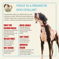 thumbnail image 5 of Country Brook Petz® Premium Thin Red Line Dog Collar - Made in the U.S.A., Small, 5 of 7