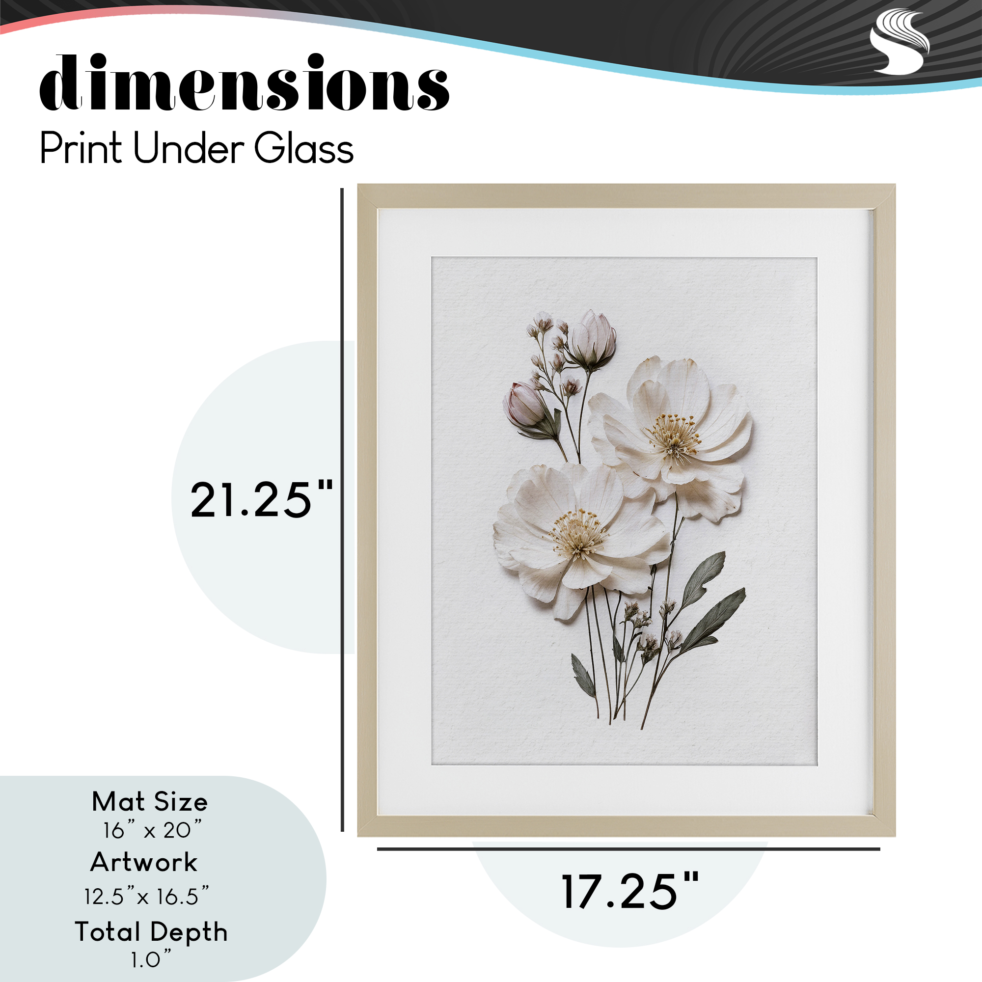 Elegant Pressed Flowers Birch Framed Print Under Glass, design by Lettered and Lined