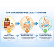 Super Digestive Enzymes with Probiotic & Prebiotic Support – 100 Capsules – Daily Digestive Wellness Supplement