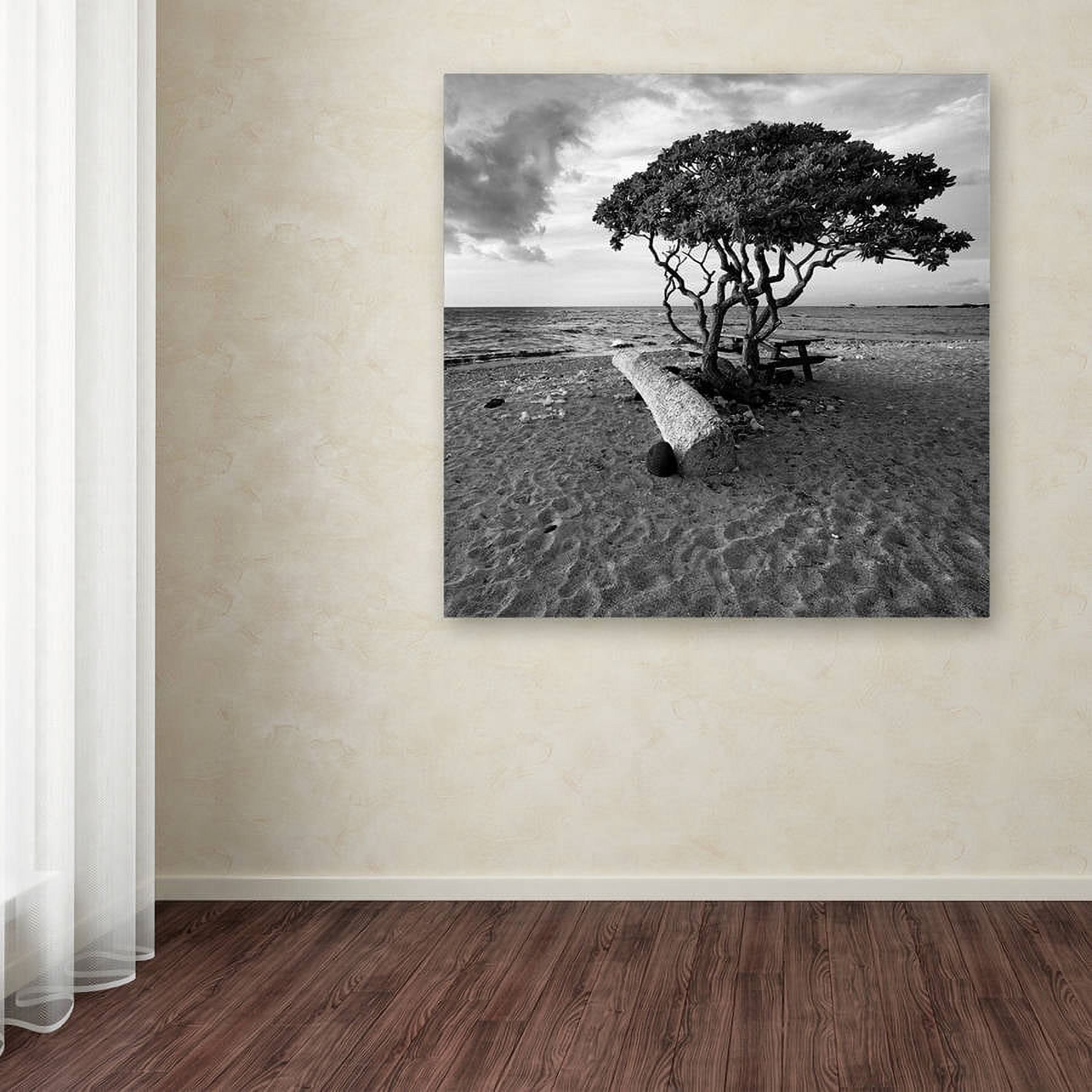 Trademark Fine Art "Hawaiian Tree" Canvas Art by Rob Cherry