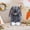 Dark Gray, variant on Furry Bunny Easter Doll, Flock Plush Rabbit Stuffed Animal, Soft Bunny Doll For Home Decoration And Gift Giving Present Collection