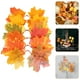 thumbnail image 3 of KAKOWELY 30 piezas de hojas de otoño para decoración de granja, guirnaldas de hojas de arce, 3 of 5