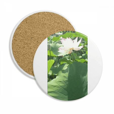 

Lotus Pond White Art Deco Fashion Coaster Cup Mug Tabletop Protection Absorbent Stone