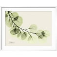 thumbnail image 2 of Art.com A Eucalyptus Moment Art Print by Albert Koetsier, White Frame Wall Art, 29" x 23", 2 of 5