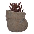 thumbnail image 2 of Maceta Prichos 10.3 cm H Decoración de planta, Varios modelos 1 pieza, 2 of 4
