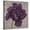 Canvas, variant on Art.com Black Plum 1 Stretched Canvas Print Wall Art by Ariane Martine, 24" x 24"