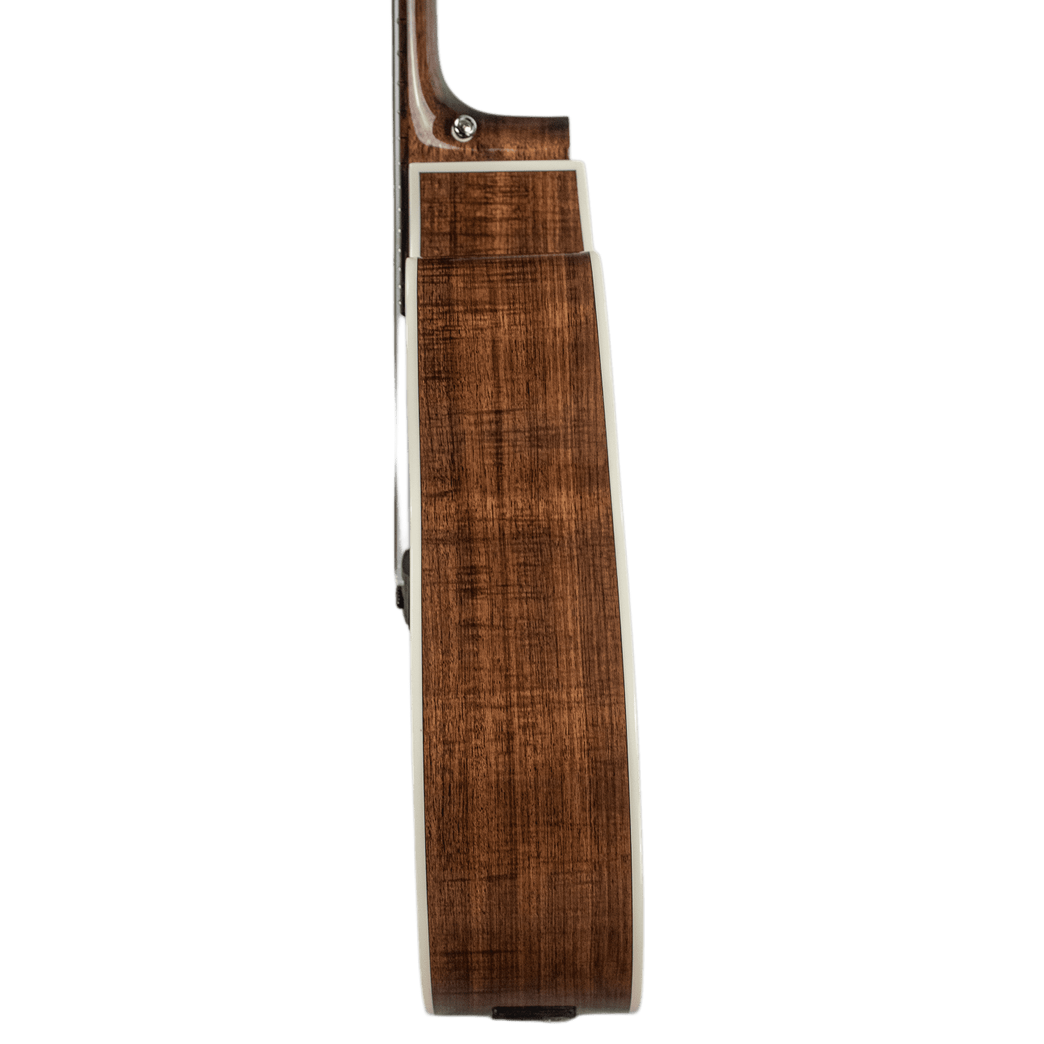 Sawtooth Acoustic Guitar – Jumbo Cutaway 24 Fret Acoustic Electric Guitar with Red Cedar Top and Australian Blackwood Back and Sides