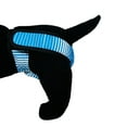 thumbnail image 6 of Barkertime Blue Stripes Dog Diaper Pull-up, 6 of 8