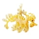 thumbnail image 5 of Figuras De Animales Marinos Modelo De Dragón Marino Manualidades Para Regalos De Cumpleaños Pequeños Amarillo+Figuras De Animales Marinos Modelo De Dragón Marino Manualidades Para, 5 of 9