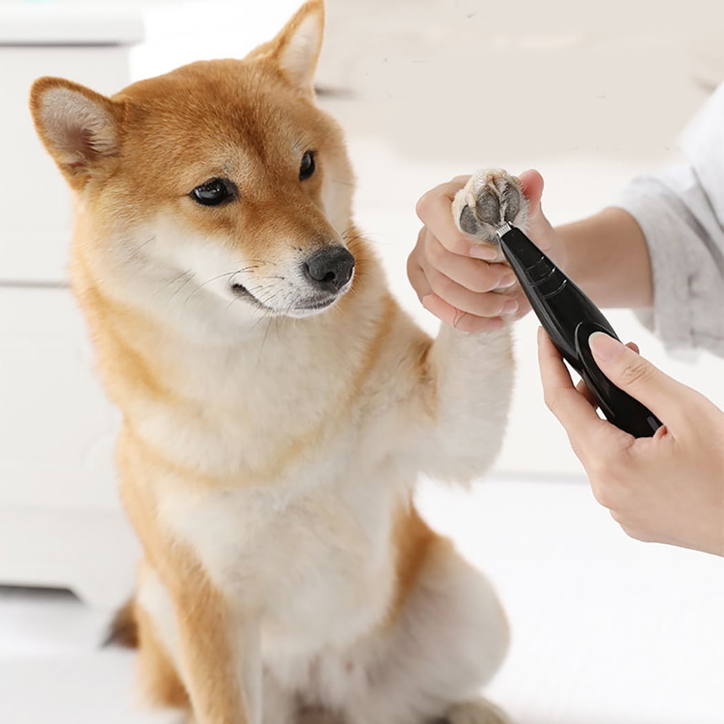 Nobrand Dog Grooming Clipper Usb Rechargeable Pet Hair Trimmer Dog Grooming Shaver Multicolor