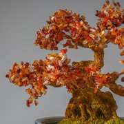 Genuine Carnelian Gemstone Bonsai Tree in Oval Ceramic Pot (11)