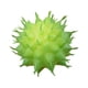 thumbnail image 2 of Suculentas falsas Naiovety 10 piezas Decorativas Tipo 1, 2 of 6