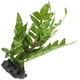 thumbnail image 2 of BRIGHTFUFU Plantas de reptiles plantas de terrario artificial plantas reptiles hábitats de reptiles decoración de plantas con base, 2 of 7