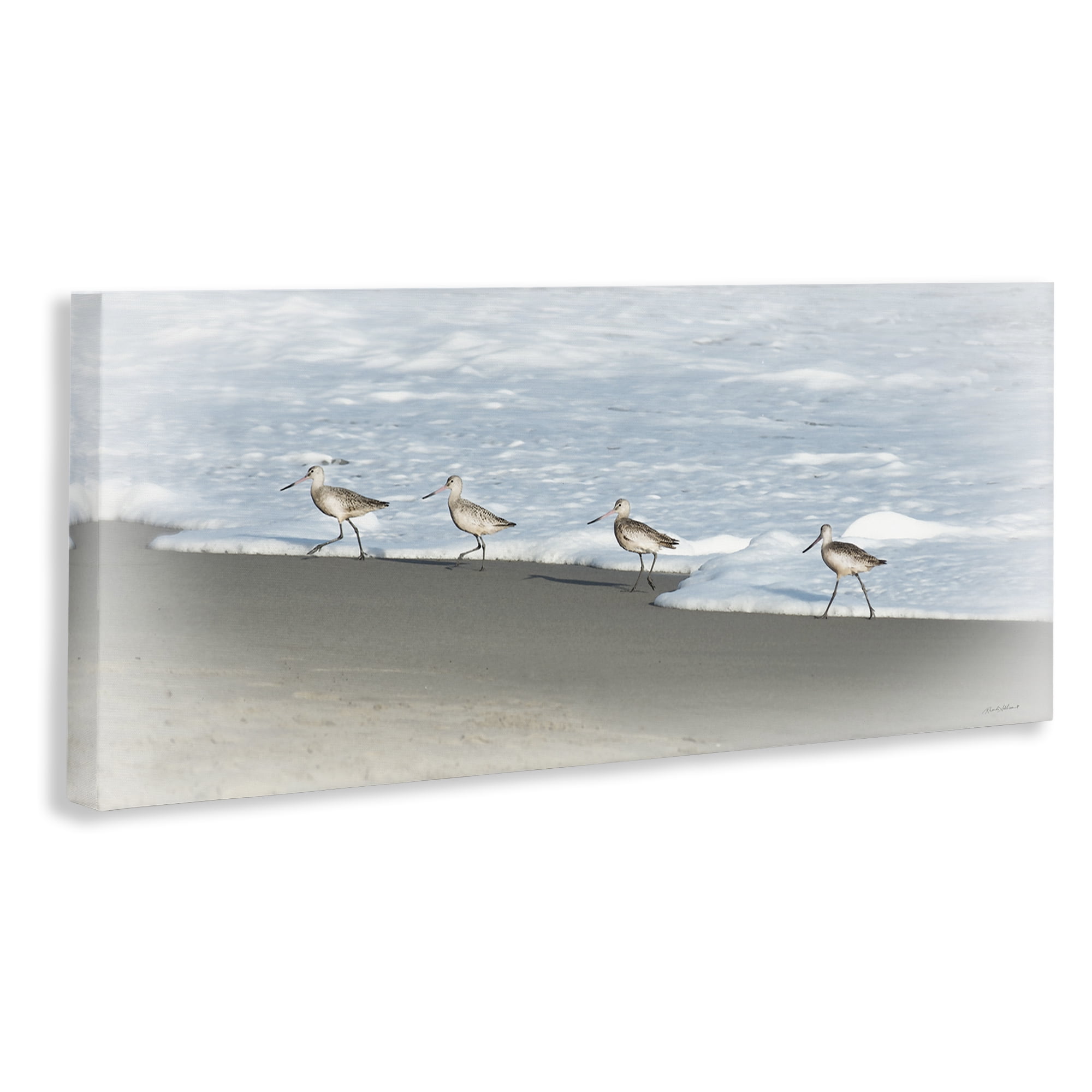 Stupell Industries Four Sandpipers on Beach Nautical & Beach Painting Wrapped Canvas Art Print Wall Art, 24 x 10
