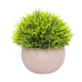 thumbnail image 1 of Bola de hierba artificial en maceta, simulación de hierba, decoración de plantas, decoración de la mesa de la oficina en casa, hierba tipo 2, verde tholdsy HA7593-02B, 1 of 6