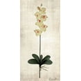 thumbnail image 2 of Brown, Denise 11x18 White Modern Wood Framed Museum Art Print Titled - Stem 3, 2 of 4
