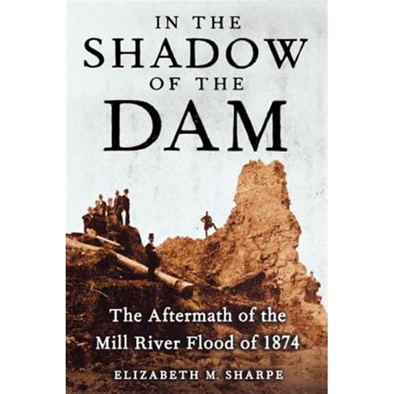Pre-Owned In the Shadow of the Dam : The Aftermath of the Mill River Flood of 1874 (Paperback)