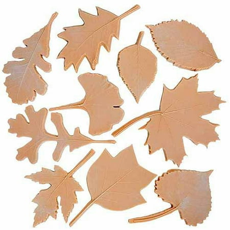 Assorted Leaves - Sax Leaf Nature Impression Set, Assorted Size, Set of 10