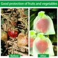 thumbnail image 5 of 100 Pcs Fruit Protection Bags, Fruit Netting Bags for Fruit Trees, Fruit Cover Mesh Bag with Drawstring Netting Barrier Bags for Plant Fruit Flower and Vegetables, 5 of 8