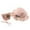 Pink, variant on Fascinators Hats for Girls Tea Party Easter Children Girls Flower Sunscreen Sunshade Hat Straw Beach Sun Hat   Straw Bag