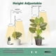 thumbnail image 4 of Plant Grow Light,full Spectrum Led Plant Light For Indoor Plants, 4 of 4