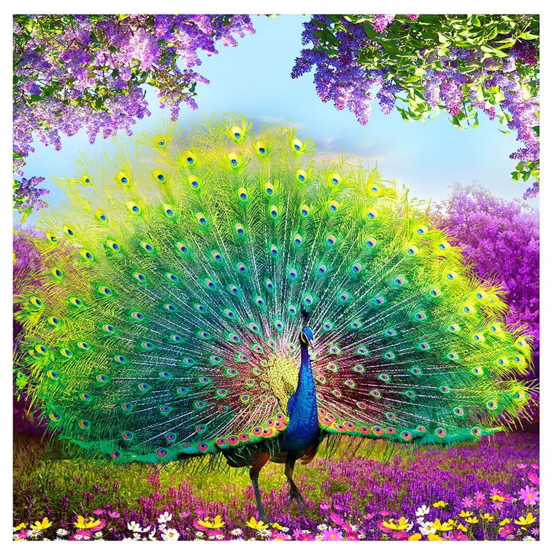 YUYOUG Full Round Drill Crystal Rhinestone Embroidery Pictures Cross Stitch Arts Craft for Home Wall Decor 30 * 30cm DIY 5D Diamond Painting Beautiful Birds &Mysterious Cartoon World A