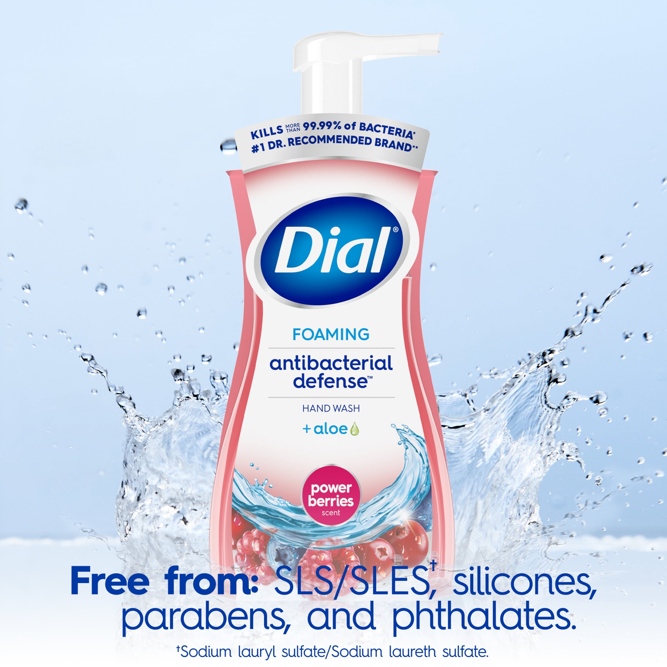 (4 pack) Dial Antibacterial Defense Power Berries Scent Foaming Hand Soap, 7.5 fl oz