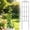 D1/19.7" × 5.9"/1 Pc, variant on 7.8 Inch Green Coated Steel Plant Support Stakes,Flower Support Rings for Single Stem Plants,Roses,Tomatoes,Sunflowers,Reusable Plant Stakes to Prevent Stem Bending,Garden & Potted Plant Supports