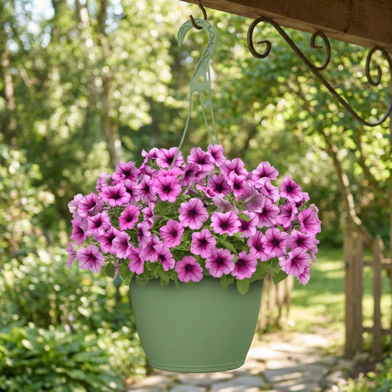 Expert Gardener 1.5 Gallon Perennial Petunia Limbo Orchid Veined Pet-Friendly Purple, Spring Live Plants Outdoor, Full Sun