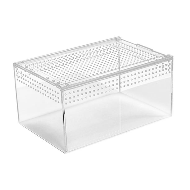 Terrario portátil de acrílico transparente para reptiles, ideal para ranas, cangrejos de río y lagartos. L