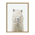 thumbnail image 3 of Kate and Laurel Sylvie Alpaca Fluff Framed Canvas Wall Art by Amy Peterson Art Studio, 18x24 Natural, Whimsical Fun Animal Nursery Art for Wall, 3 of 7