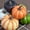 A, variant on Ke1Clo Pumpkin Decor 6PCS Artificial Fake Faux Plastic Pumpkin Decorations for Home Fall Decor Farmhouse Harvest Thanksgiving Decorative