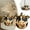 A, variant on XINGXIANG Farm Animal Pumpkin Figurines, Funny Farm Animals Statue for Fall Thanksgiving & Halloween Decorations, Farmhouse Pumpkin Figurines Gift for Autumn Table Centerpiece Decoration (Cow)