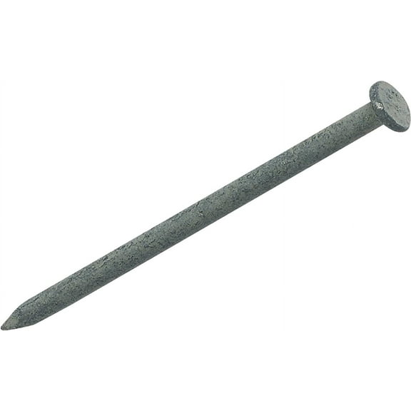 Do it 1 Lb. Hot-Dipped Galvanized Common Nail 1LB HDG 4D COMMON NAIL