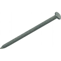 Do it 1 Lb. Hot-Dipped Galvanized Common Nail 1LB HDG 4D COMMON NAIL