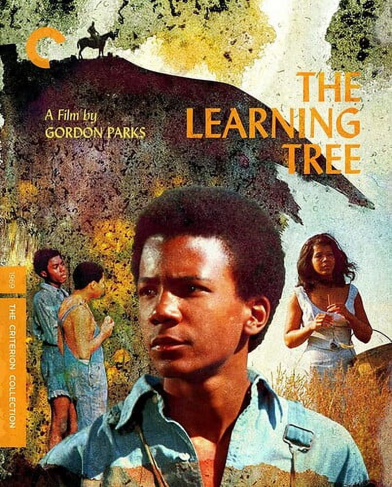 The Tree of Life (Criterion Collection) (DVD), Criterion Collection, Drama  - Walmart.com