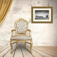 thumbnail image 3 of Bibikow, Walter 18x13 Gold Ornate Wood Framed with Double Matting Museum Art Print Titled - Southern Sweden-Kaseberga-plowed field-springtime, 3 of 4