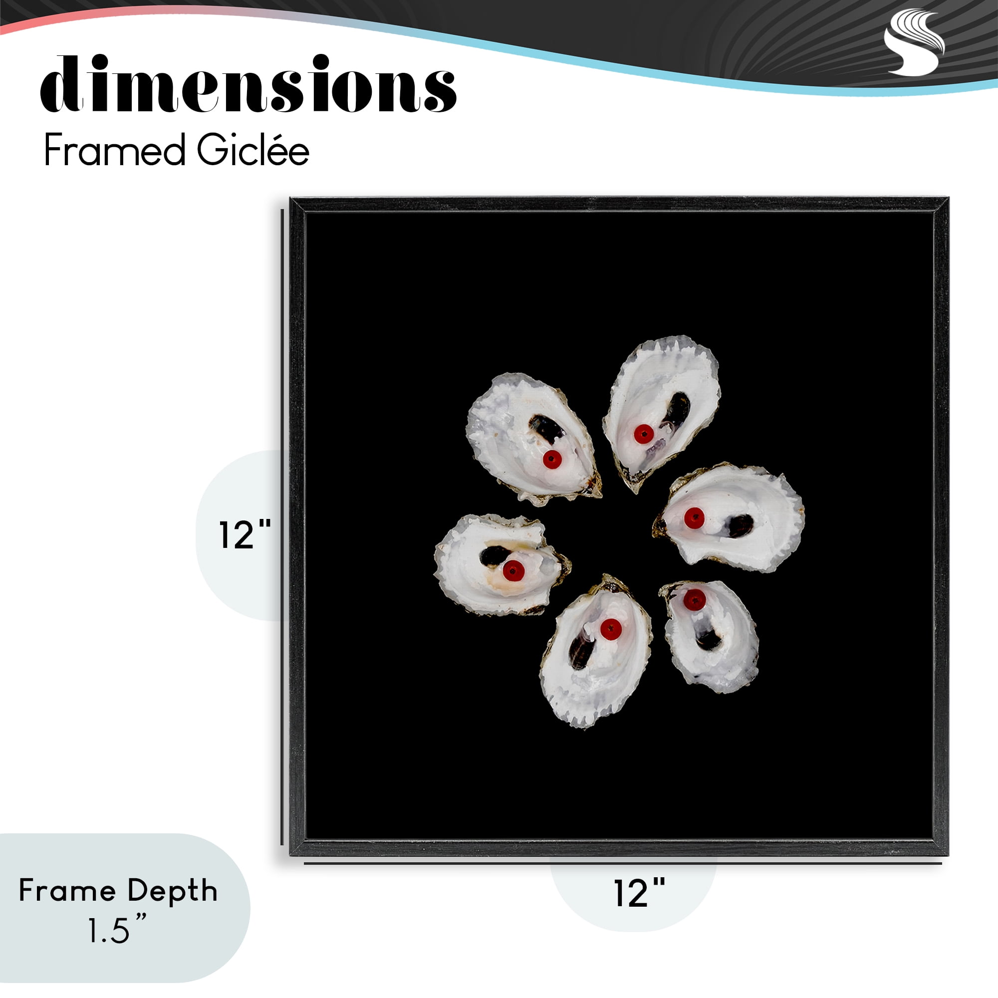 Stupell Industries Oyster Shells Symmetry Black Framed Giclee Art, design by Beth Adoette