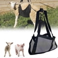 thumbnail image 2 of Calf scale for weighing animals, hanging scale, convenient for weighing calves, pigs, goats, and babies., 2 of 5