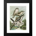 thumbnail image 2 of Johann Friedrich Naumann 11x14 Black Modern Framed Museum Art Print Titled - I.Anius Southern Borealis, I.Anius South, I.Anins Excubitor Homeyeri, 2 of 5
