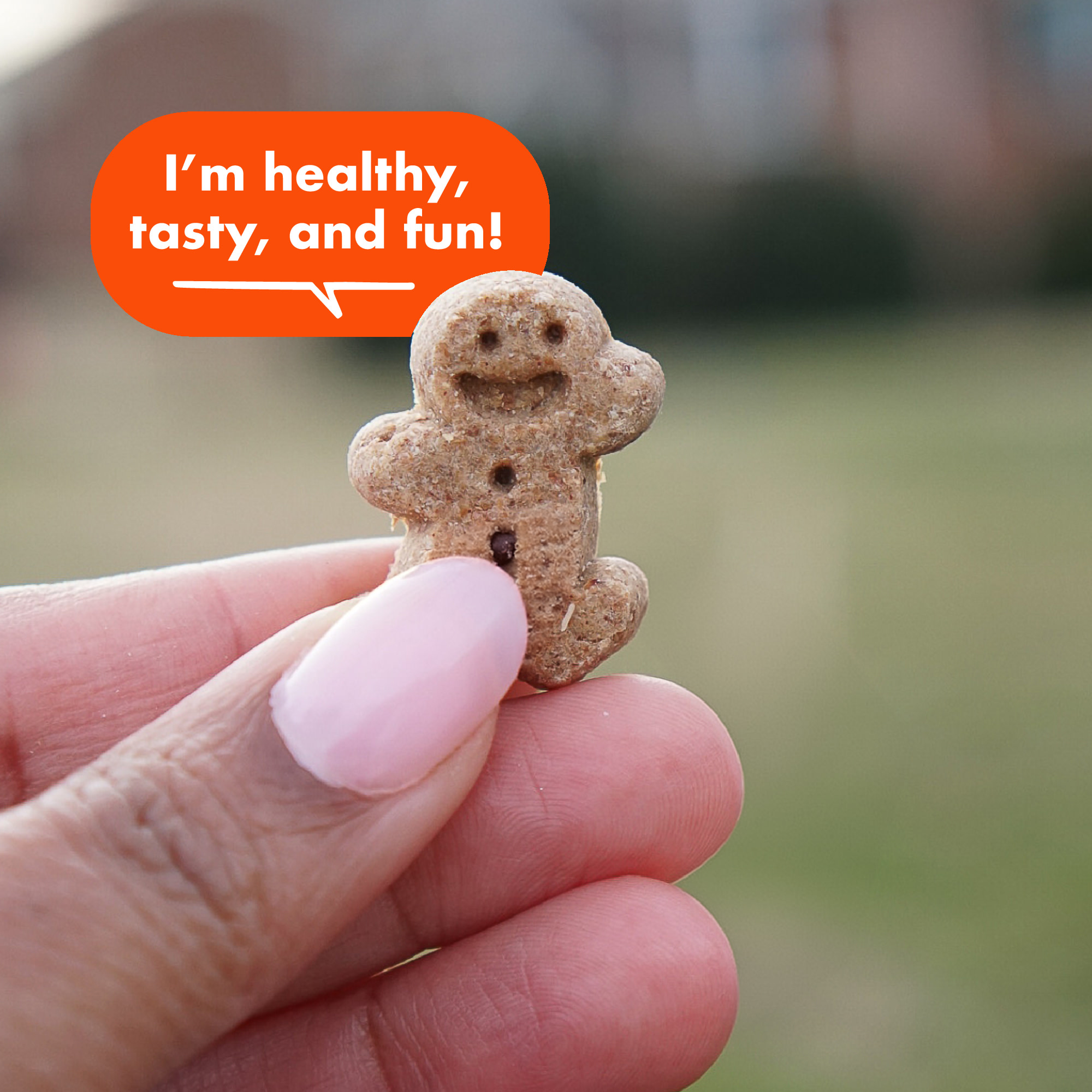 Buddy Biscuits Softies Soft & Chewy Dog Treats, Peanut Butter photo 4