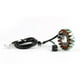 thumbnail image 1 of Bobina de estator generador Magneto para Yamaha XV250 XV125 Virago 88-16 SRV250 XT600, 1 of 4