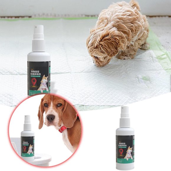 Riforla “Dog Toilet Training Aid Spray for and Feces Positioning Training Solution for Indoor Dogs Odorless ”100ml Pet Others White 14cm