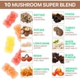 thumbnail image 2 of Multi Mushroom Supplement Gummies 2500mg with Cordyceps, Reishi & Chaga, Immune Support, Blend Assorted Fruit Flavors, 80 Gummies, 2 of 5