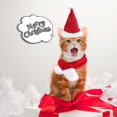 thumbnail image 3 of Gorro de Papá Noel con bufanda para perros y gatos de Mimigo, conjunto de ropa navideña para mascotas con gorro y bufanda de Papá Noel para gatos, cachorros y perros, gorro navideño rojo., 3 of 4