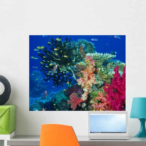 Soft Coral Reef Scene Wall Mural by Wallmonkeys Peel and Stick Graphic (24 in W x 19 in H) WM301727