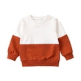 thumbnail image 6 of Splozh Baby Boy Tshirts 3 6 12 18 24 Months 2T 3T Toddler Baby Boy Fall Winter Clothes Color Block Long Sleeve Crewneck Sweatshirt, Brown, 2-3 Years, 6 of 6