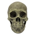 thumbnail image 2 of Komodo Human Skull Full, 2 of 3