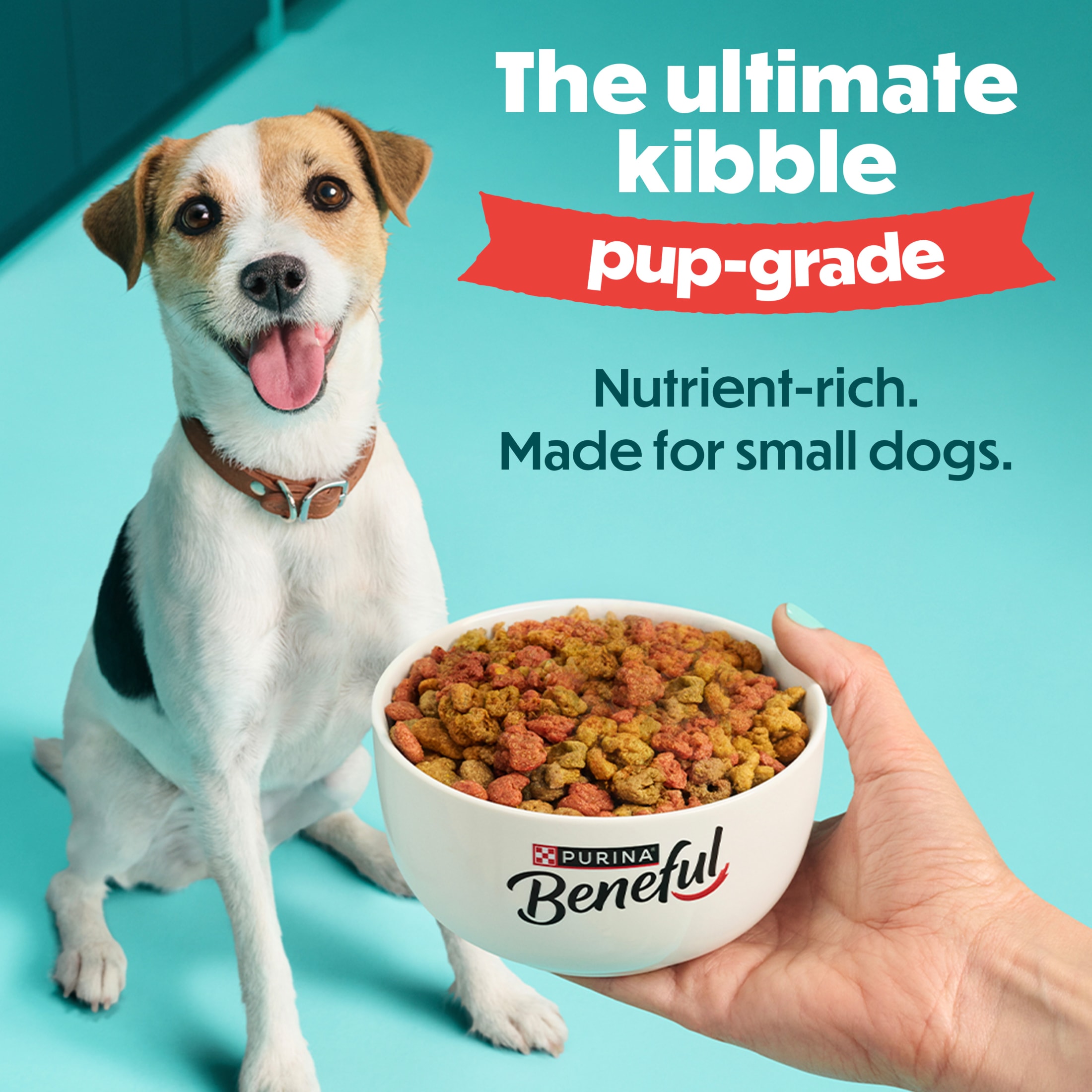 Beneful Incredibites Farm-Raised Beef Small Breed Dry Dog Food photo 8